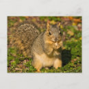 Recherche de michele cartes postales Marron