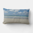 Recherche de mouettes coussins Littoral