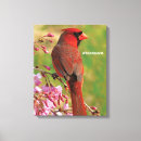 Recherche de cardinal painting canvas prints Observation des oiseaux