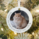 Search for bird pet memorials In loving memory