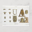 Recherche de apiculture cartes postales Abeilles