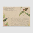 Search for hummingbird tissue paper Ephemera