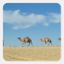 Search for camel desert stickers Animal