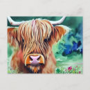 Search for horned postcards Scottish