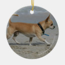 Search for wave ornaments Dog