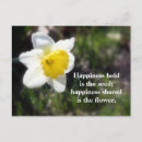 Search for daffodil quote Nature