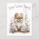 Recherche de pomeranians cartes postales Chiot