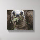 Recherche de espèce marine posters Photographie de faune