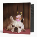 Search for french bulldog binders Animals