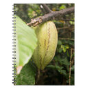 Search for pod notebooks Green