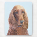 Search for cute irish electronics Dog