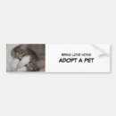 Recherche de adoption voiture autocollants Chat