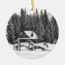 Search for rocky mountain ornaments Winter