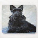 Recherche de scot tapis souris Chiots