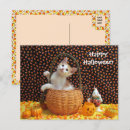 Search for candy corn postcards Pumpkin