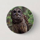 Search for barred buttons Owl