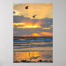 Search for beautiful scenery posters Sunrise