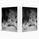 Search for kitten binders Cute