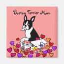 Recherche de bostonterrier Mignon