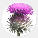 Search for scottish thistle stickers Hogmanay
