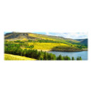Recherche de vallée art Arbres