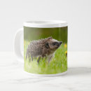 Search for hedgehog baby mugs Germany