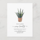 Search for succulent plants invitations Script