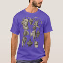 Search for plankton Cute