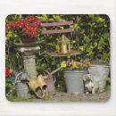 Search for potted mousepads Flower pot