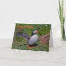 Search for puffin birthday cards Atlantic