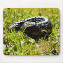 Search for grass the mousepads Blue
