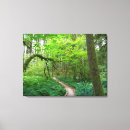 Search for old growth forest art National park