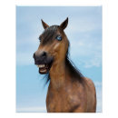 Recherche de cheval de baie posters Drôle