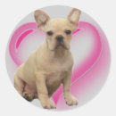 Recherche de chiot autocollants Frenchie