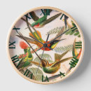 Search for hummingbird clocks Birds