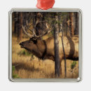 Recherche de montana ornaments Parc national de yellowstone