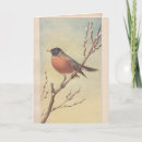 Search for vintage robin cards Antique