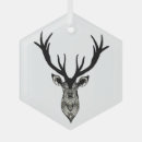 Search for graphic ornaments Nature