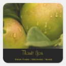 Search for apples stickers Thank you