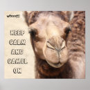 Search for funny camel art Hump day camel