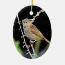Search for little bird ornaments Nature