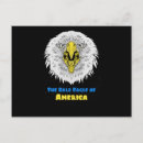 Search for eagle feather postcards Animals