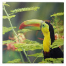 Search for america tiles Animal