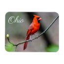 Search for birdwatchers magnets Birder