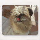 Search for shih tzu dog mousepads Puppy