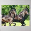 Search for friesian horse art Friesians