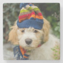 Search for scarf coasters Animal
