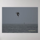 Search for dives posters California