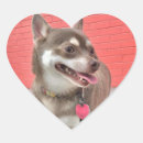 Search for doggo stickers Cute