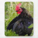 Search for backyard mousepads Pet